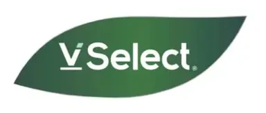 VSelect